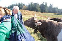 2014-10-03_029_Bergmesse Ofterschwang_KB